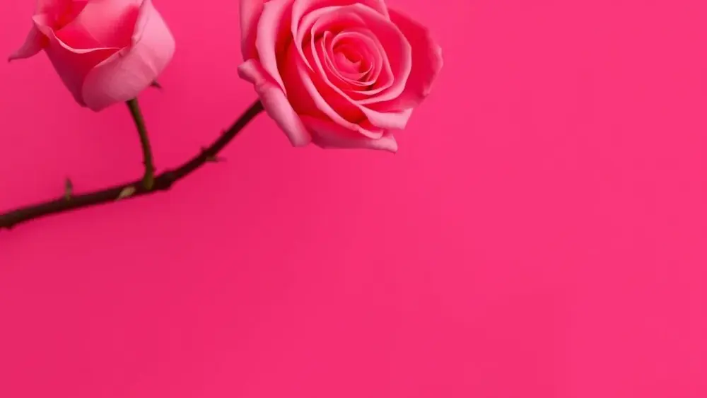O Nome da Rosa: resumo sem spoilers, bem direto hoje